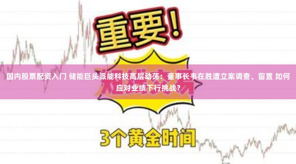 国内股票配资入门 储能巨头派能科技高层动荡：董事长韦在胜遭立案调查、留置 如何应对业绩下行挑战？